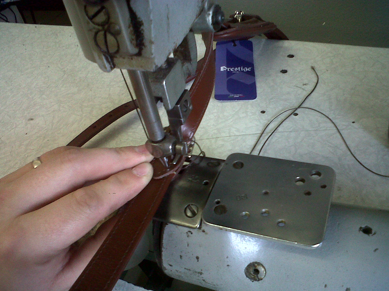 IMG00301-20100416-0924.jpg